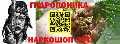 ПСИЛОЦИБИНОВЫЕ ГРИБЫ Обнинск