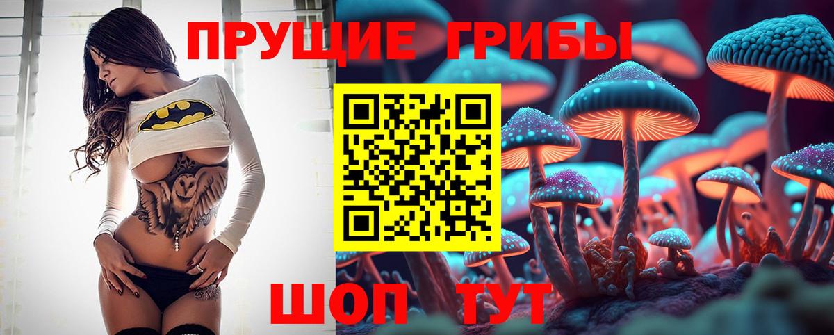 Псилоцибиновые грибы Magic Shrooms  Вход с VPN  Наро-Фоминск  Псилоцибиновые грибы мицелий 